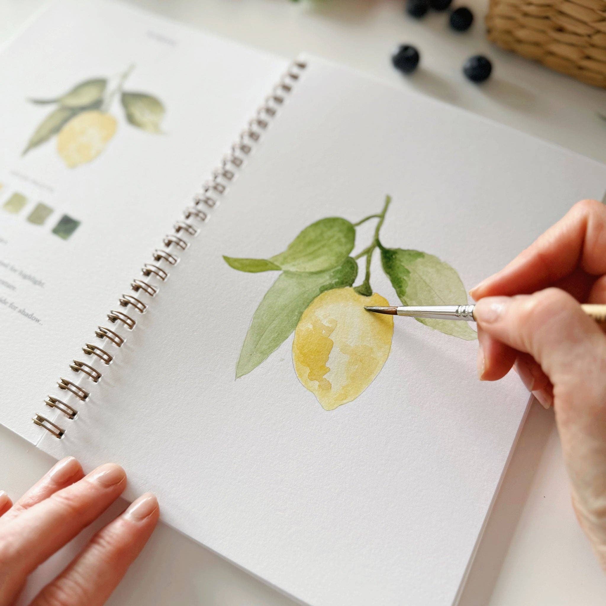 Cahier d'aquarelle fruits Emily lex studio