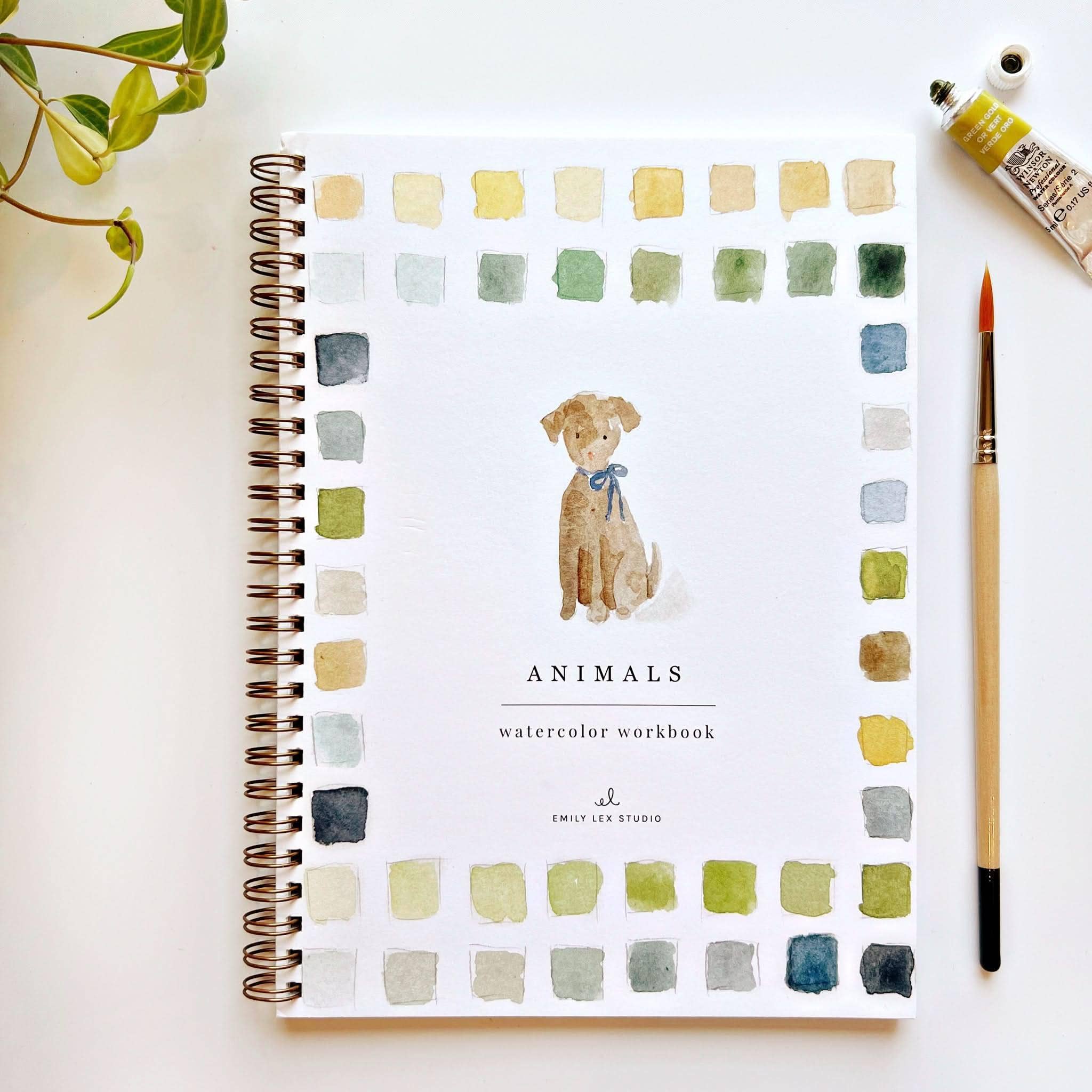 Carnet d'aquarelle animaux Emily Lex Studio