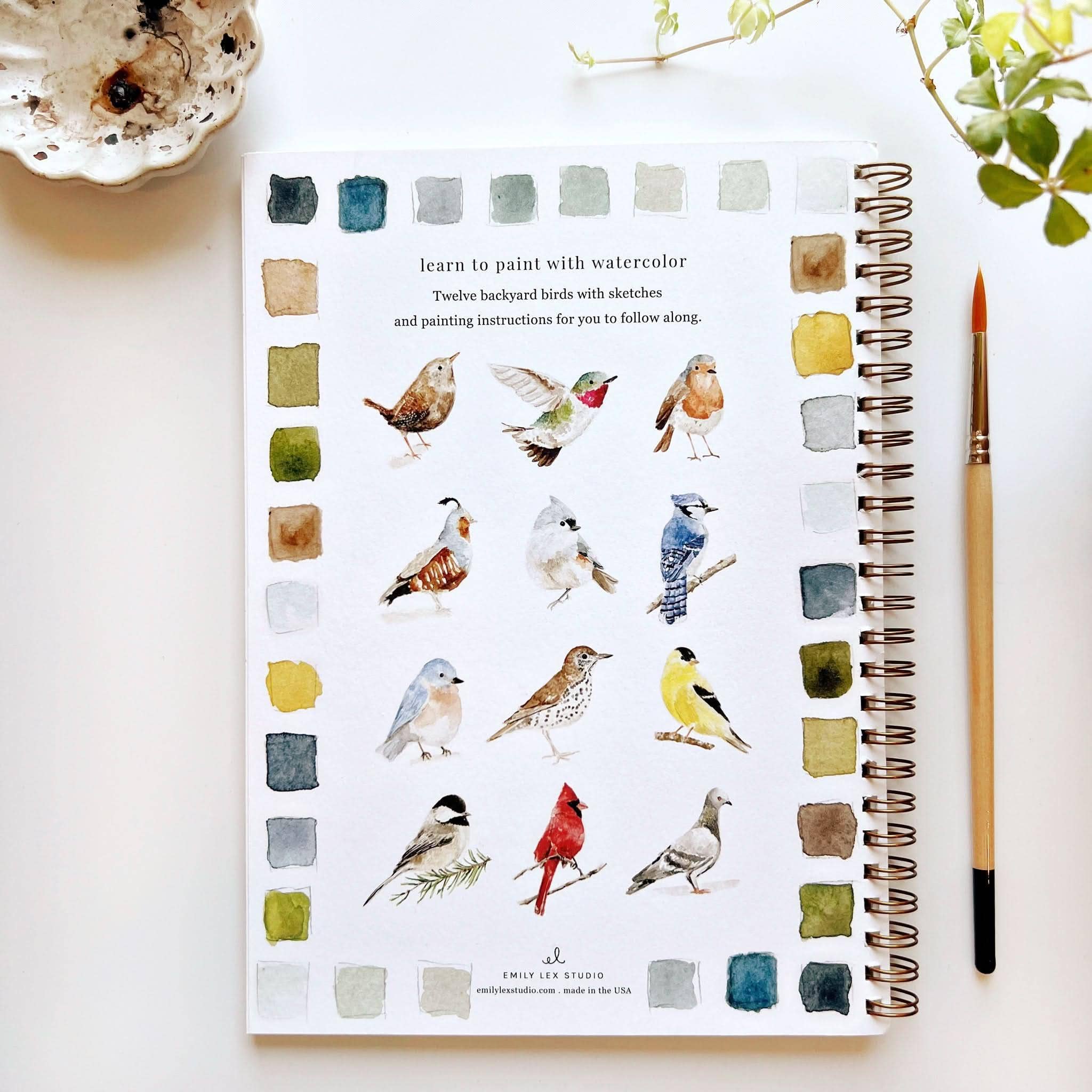 Cahier d'aquarelle oiseaux Emily Lex Studio
